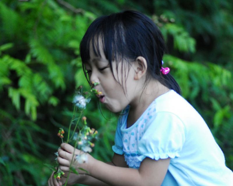 愛在都會森林蔓延中：園藝療癒