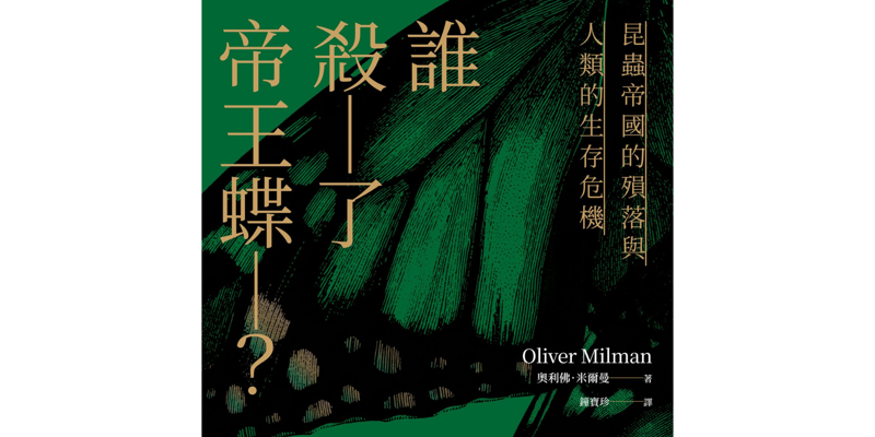 《誰殺了帝王蝶?》:帝王的旅程