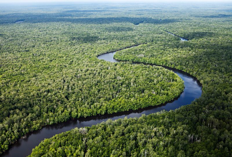 為野生動物留下30%的地球還不夠 研究：保護區應落實物種導向管理