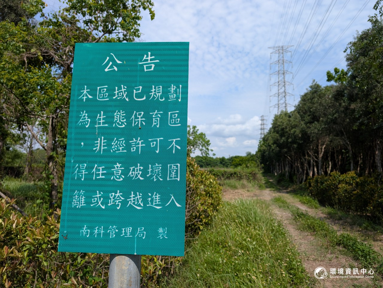 南科高雄路竹園區的部分綠地,被列為橋頭園區的補償棲地,目前已有穩定的草鴞活動紀錄,但尚未觀察到築巢繁殖。攝影:陳昭宏