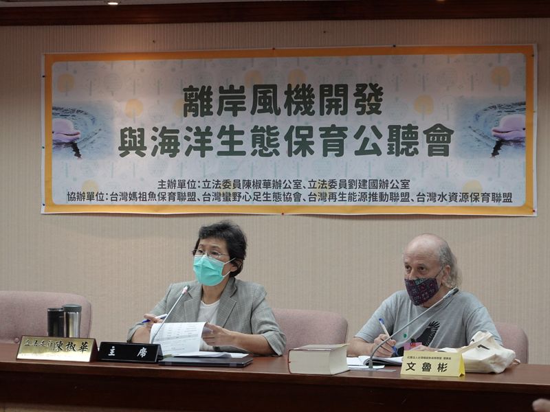 今年三風場將動工 白海豚重要棲息環境、生態監測指引趕進度