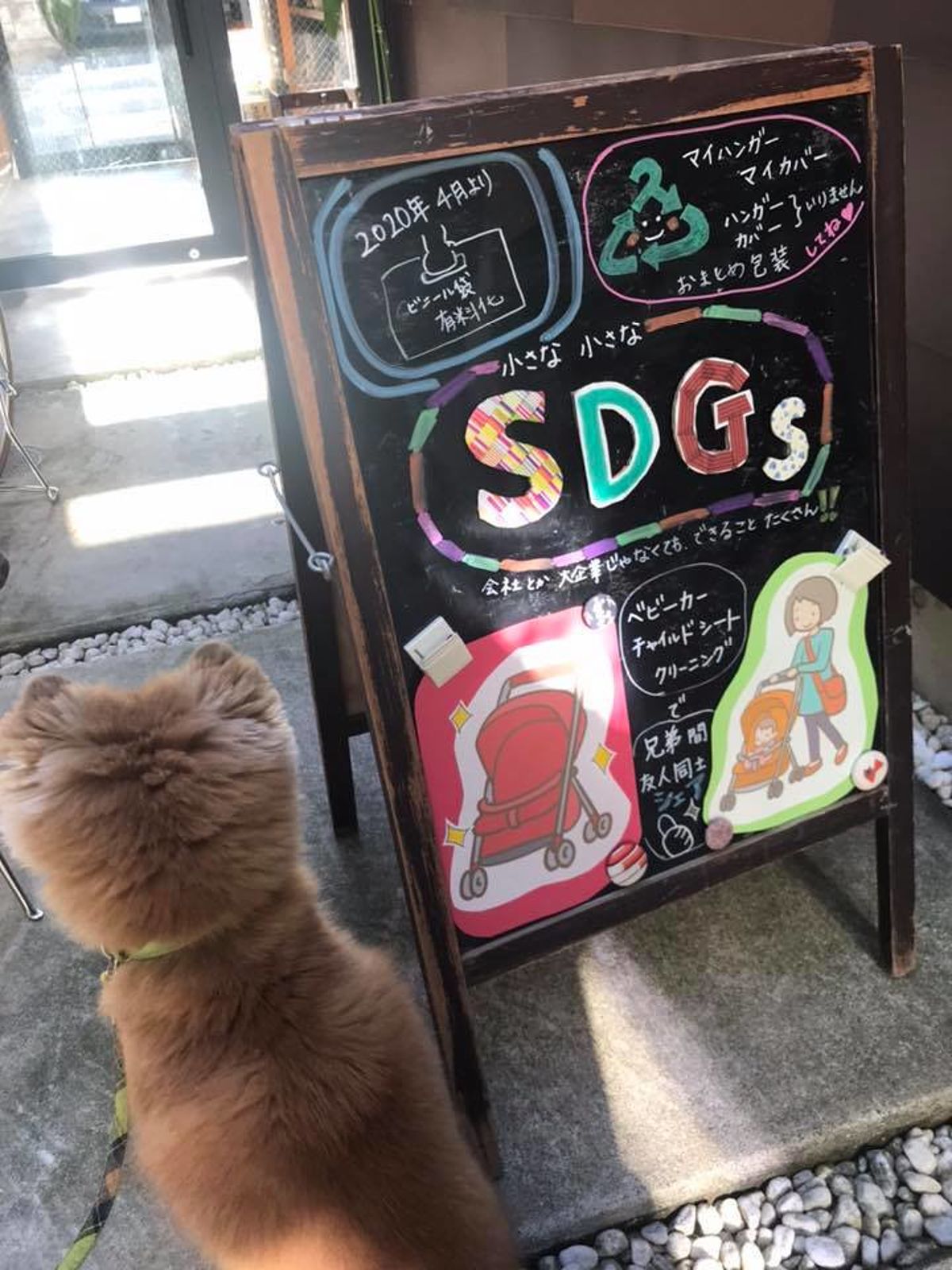 日本洗衣店響應SDGs：捨棄一次性塑膠 反省人與環境關係
