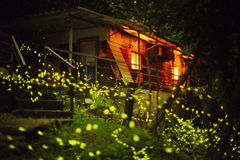 到雙溪賞螢 「螢之道」嚴選綠色旅遊 感受里山百年農業文化
