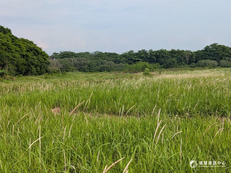沙崙園區二階環評範疇界定結束 將確認草鴞復育基地分布