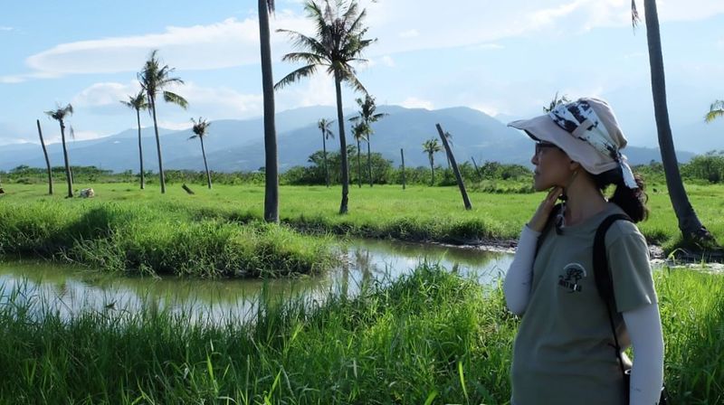 知本濕地光電陷僵局 環團喊出「換地」解爭議