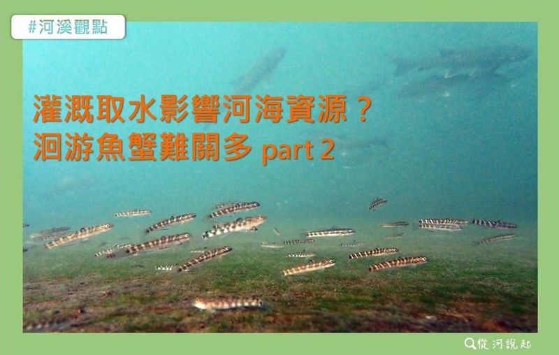 灌溉取水如何衝擊河海資源？