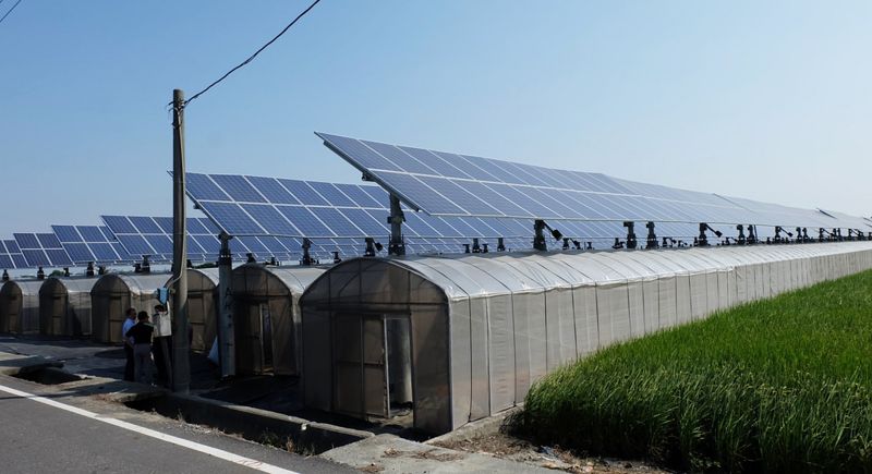 「農地種電」來真的 追日太陽能板 種出高經濟作物不是夢