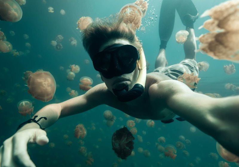 去帛琉必看：下載永續旅遊App換獨特體驗 宣誓誓詞捍海洋