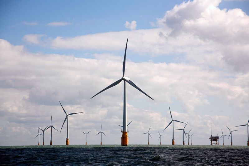 彰化外海風電陸續開工 海陸域生態監測 環委:一定要連續