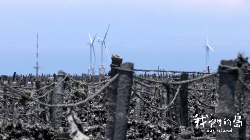 彰化蚵仔出代誌 蚵農疑離岸風機加速惡化養殖環境