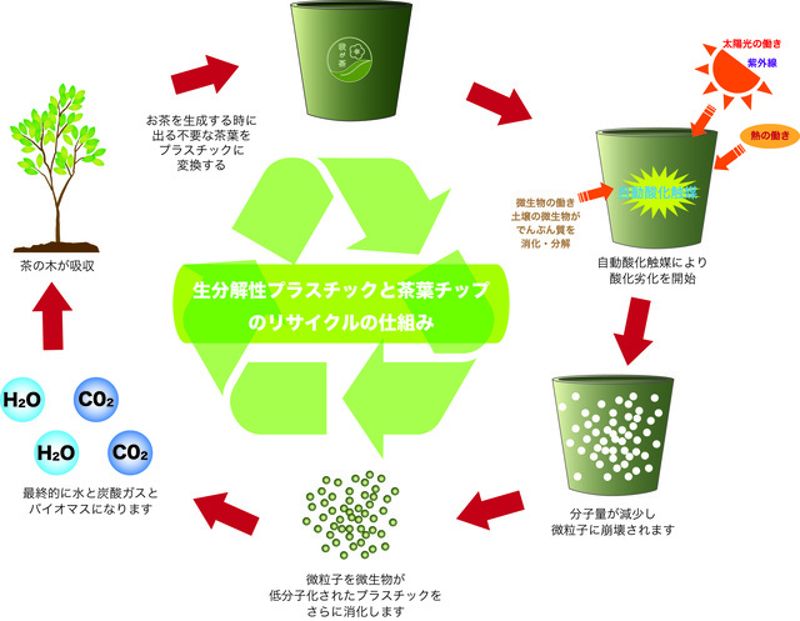 日本廢棄茶葉製成100％可生物分解苗盆 環境永續兼顧文化傳承