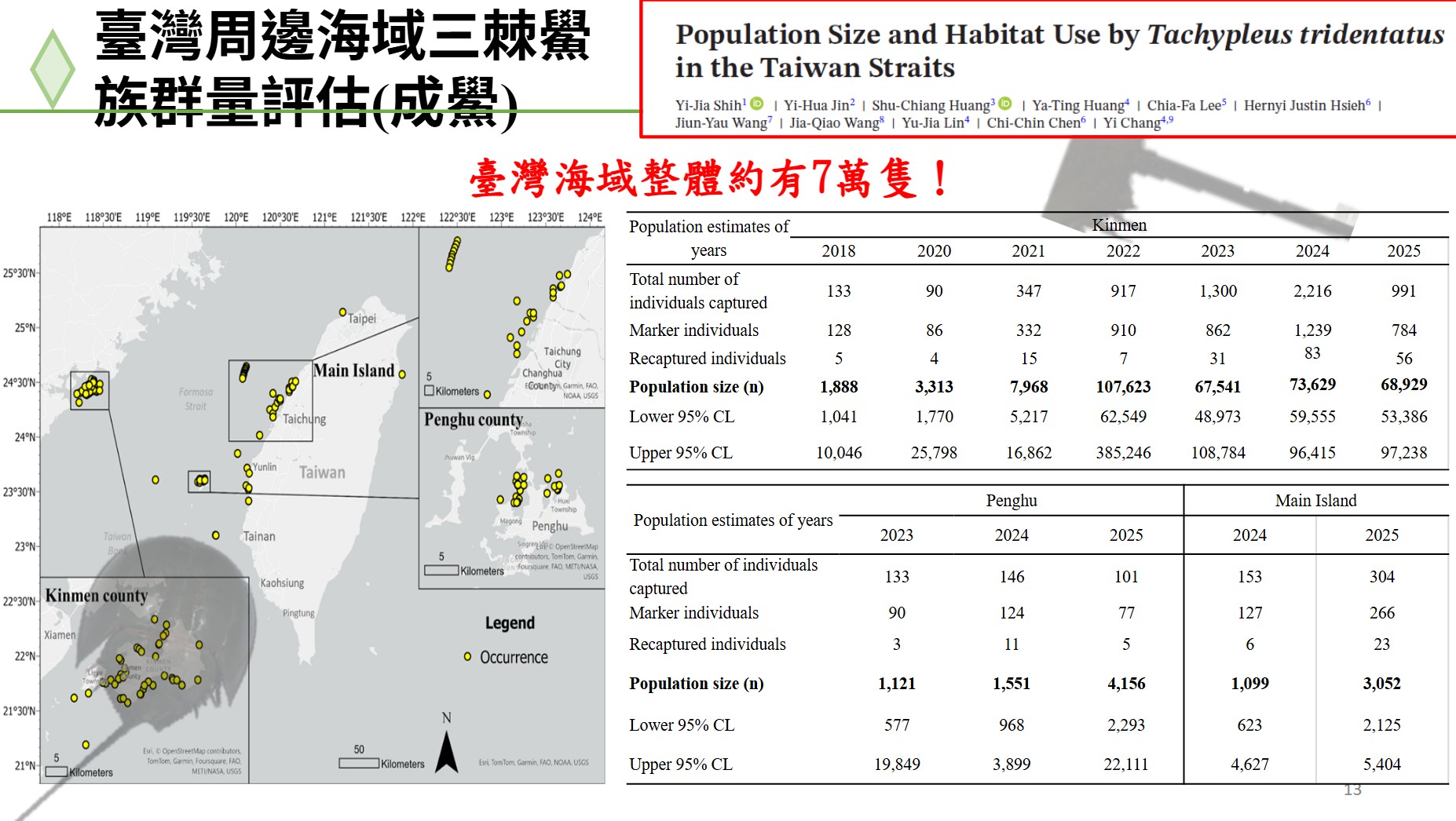 中山大學評估,全台海域有約7萬隻三棘鱟。圖片來源︰擷取自中山大學簡報
