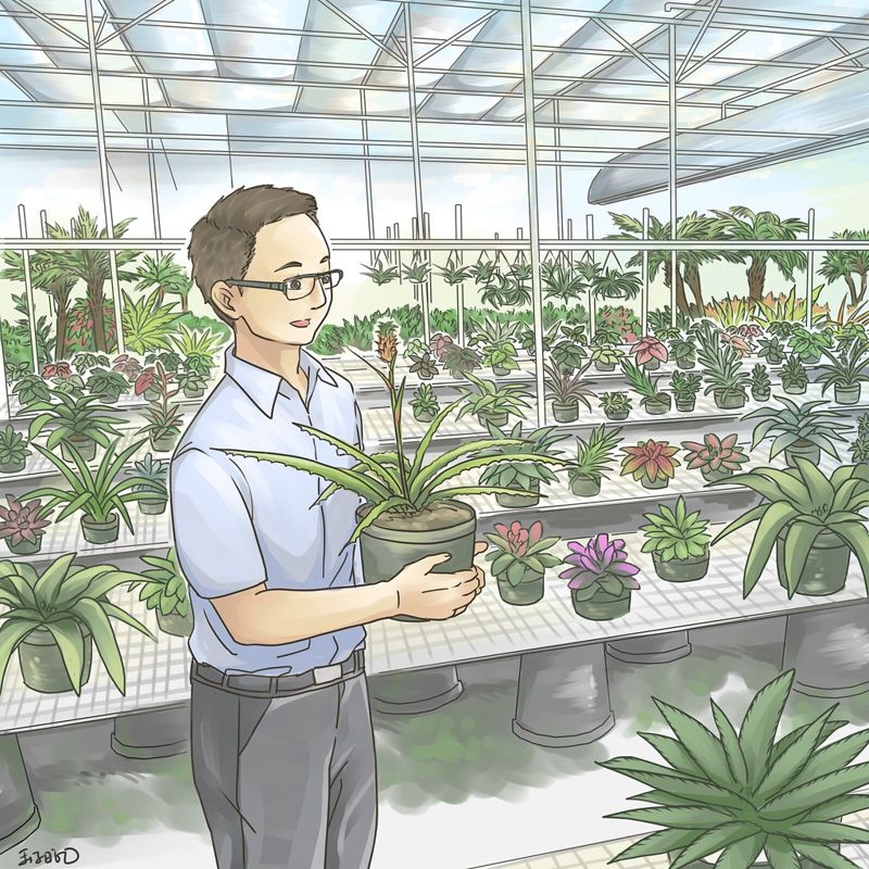 植物方舟 珍稀植物永續保種
