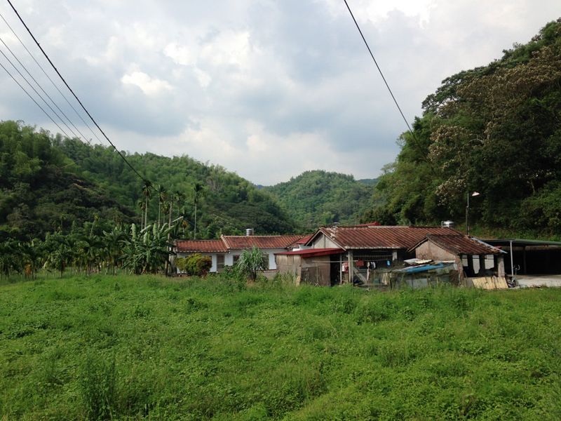以「里山行動」串起國土綠網 林華慶：美濃是重要策略點