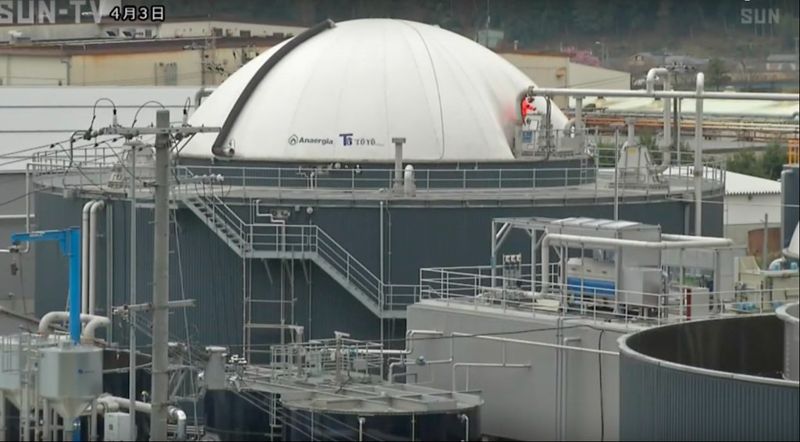 神戶牛加入發電 生質能一年可供1800戶用電 還助蕃茄過冬