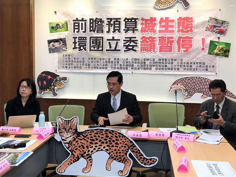一手保育一手破壞？ 編2200萬救石虎 又以「水環境建設」毀棲地 徹底檢討聲浪起