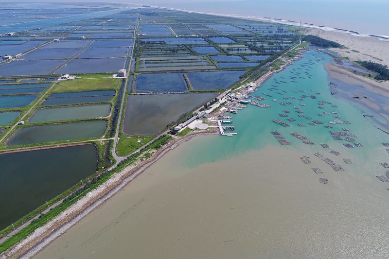 漁電共生停看聽 靠海吃海 抑或是地層下陷的國土未來？