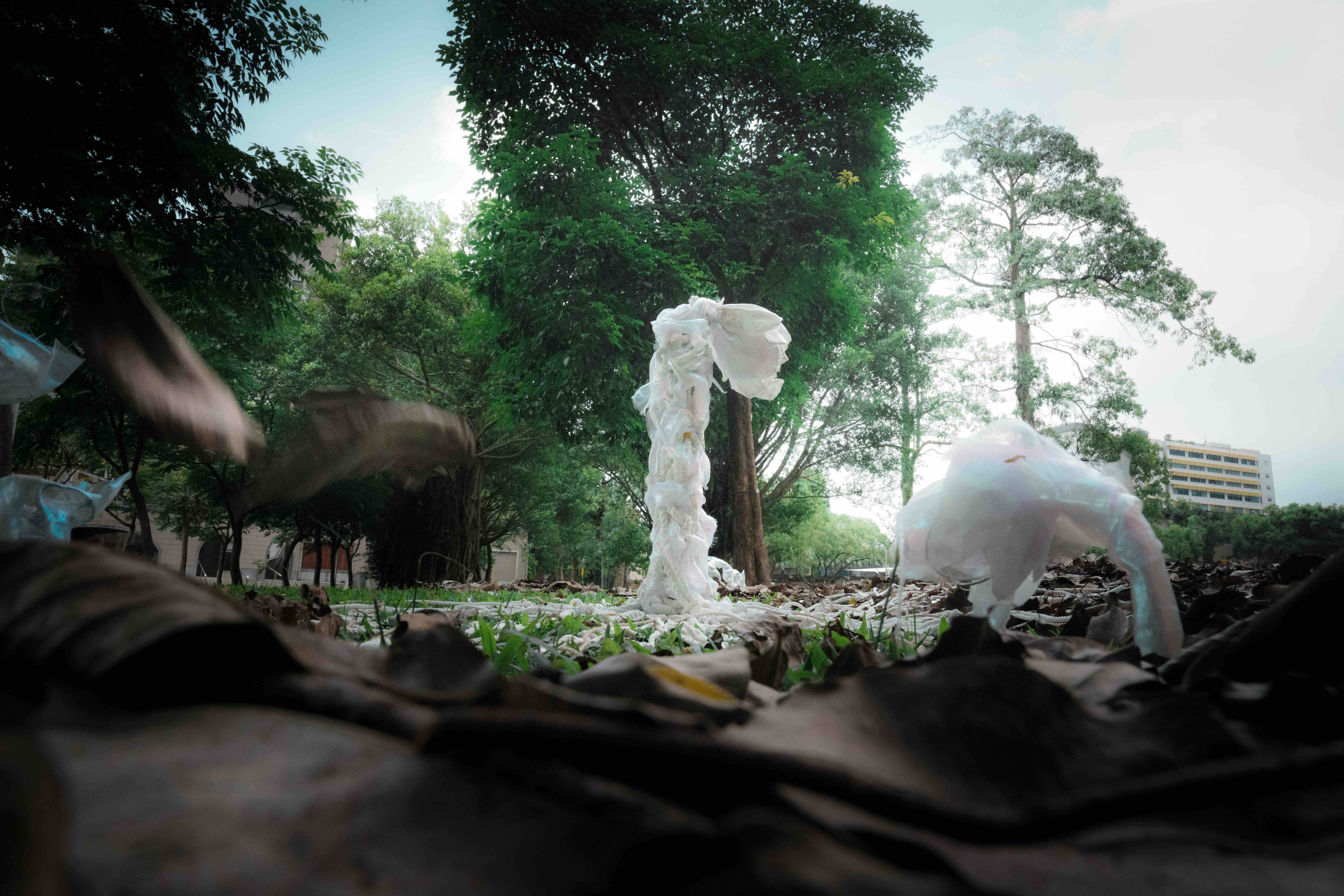 《灰帶生靈：犬貓踏過的森林》展區作品以墓園、落葉與鏡面意象呈現犬貓殺議題，提醒觀眾重新思考人類餵食、棄養與管理行為，如何影響野生動物的生存。圖片來源：台大藝術季提供