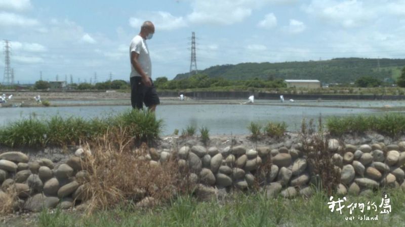 清水農地的開發風暴 居民拒絕污水威脅農田與濕地
