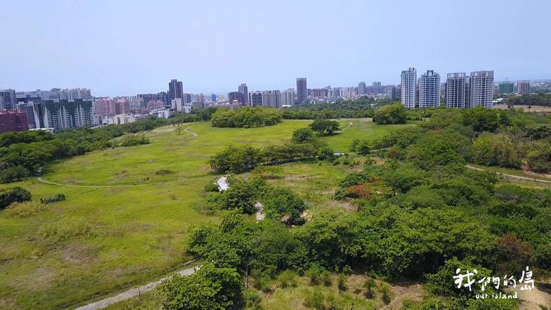 【原來草鴞這麼近！】系列二：草鴞也住都會區