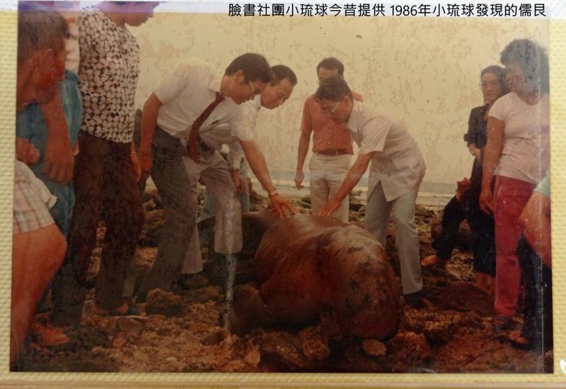 儒艮在台灣的自然史