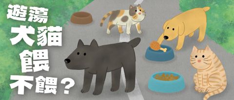 遊蕩動物餵不餵？