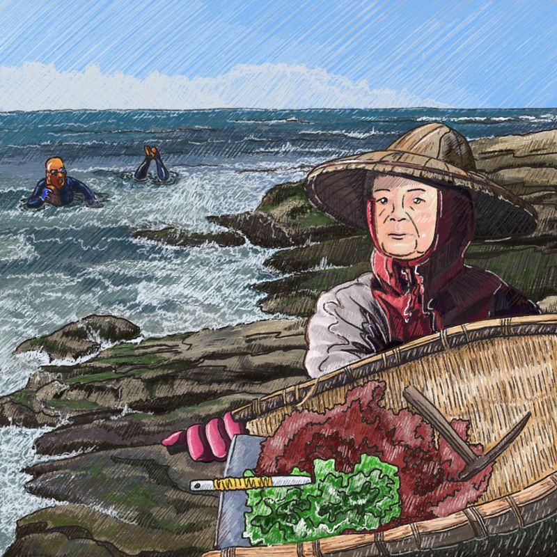 「海洋微森林」海藻營養可食又固碳