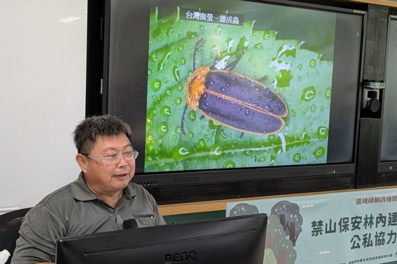 為螢火蟲蓋餐廳、種回魔芋 屏東禁山保安林公私協力復育淺山生態