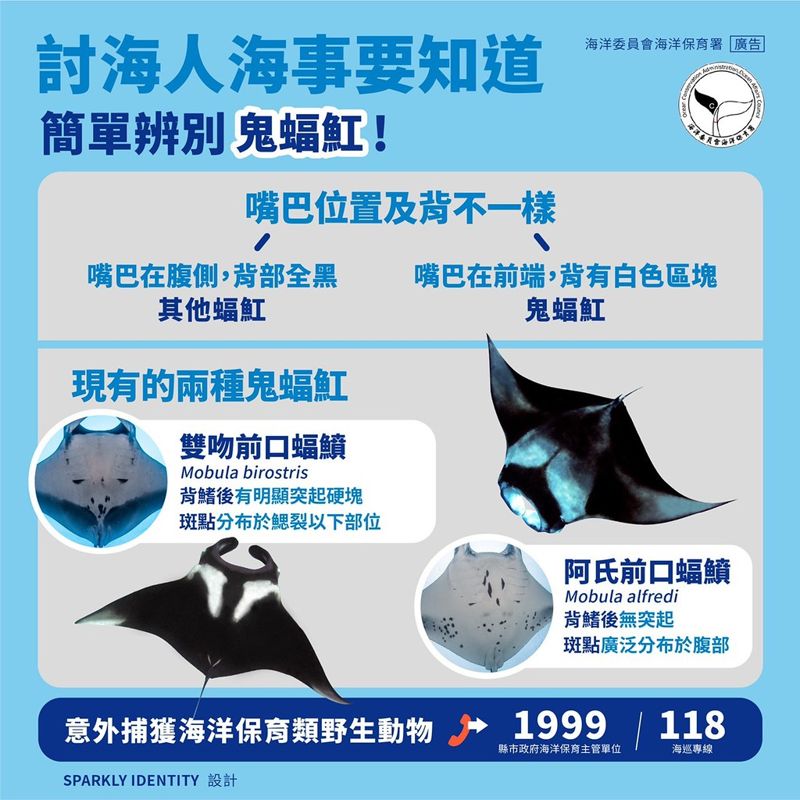 撈捕海洋保育類物種是否觸法？ 填寫通報表後釋回是關鍵