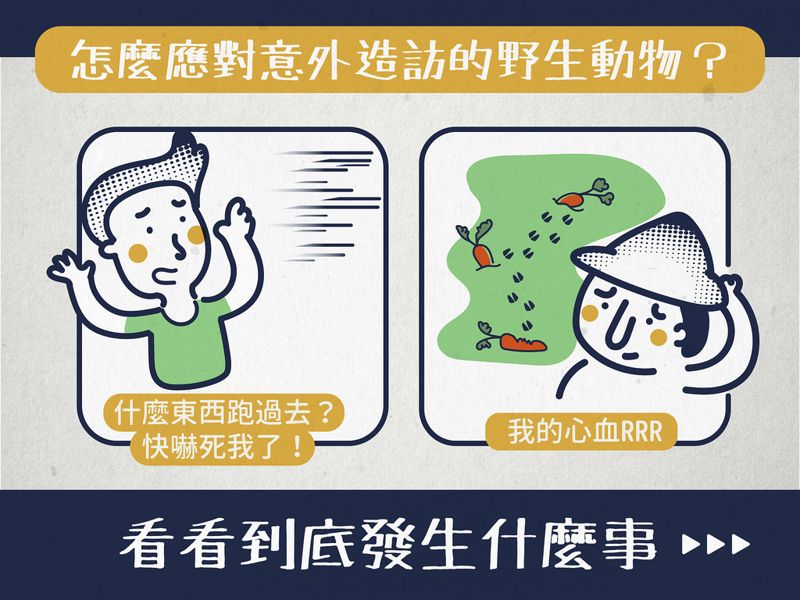 走向人和野生動物和諧共處的那一天,你來嗎?