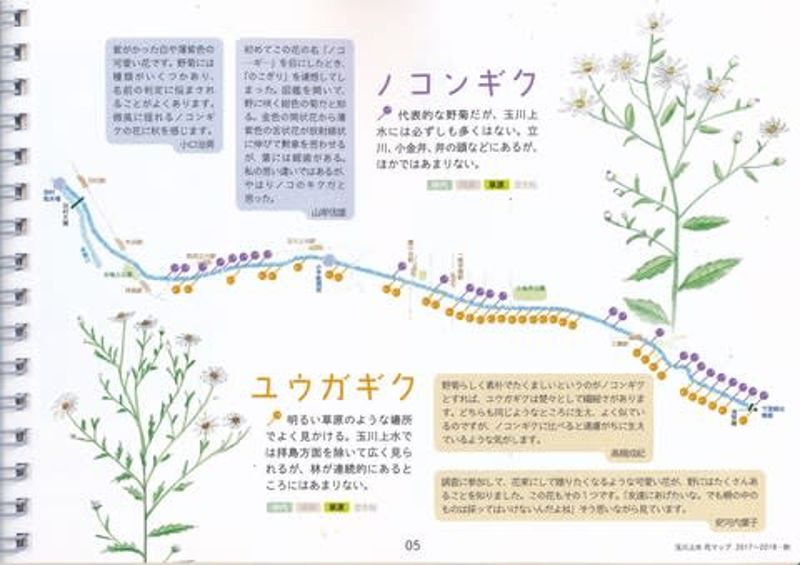 公民科學行動邁入第三年 東京都玉川上水「花地圖」二三事