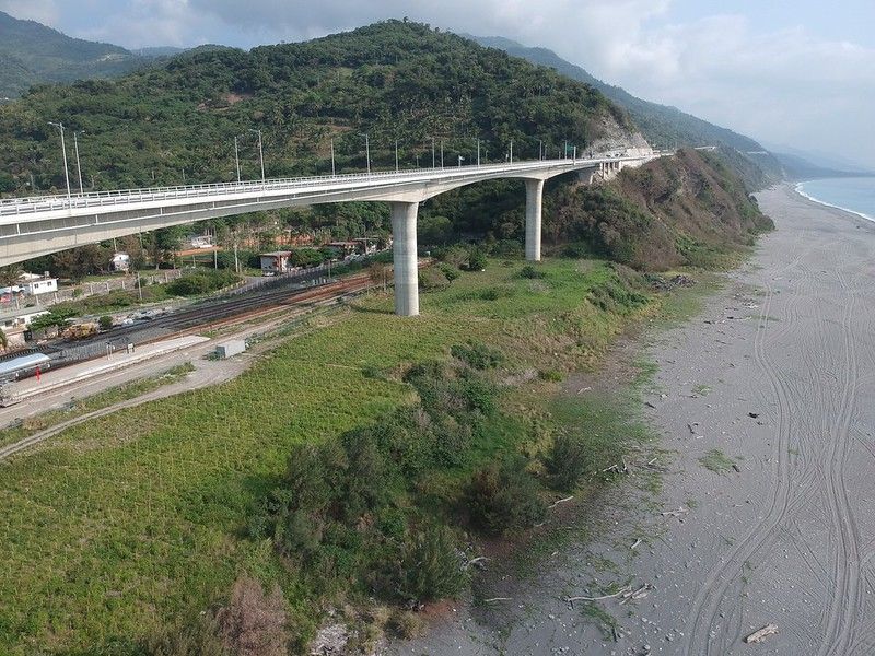 金崙大橋工程損及海岸林 公路總局、林試所首度合作復育一年有成
