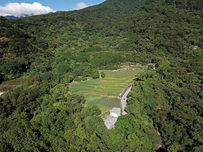 動物不會「分界線」 生態如何零損失? 國土綠網藍圖出爐:先打破空間概念
