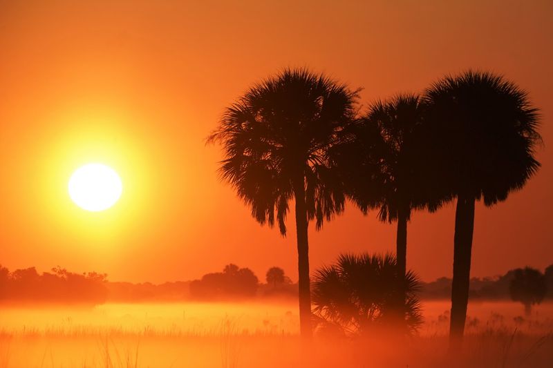 升溫突破1.2°C 全球氣候報告：2020年高溫、乾旱、武肺打擊5000萬人