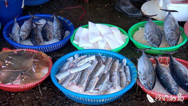 吃魚這門課