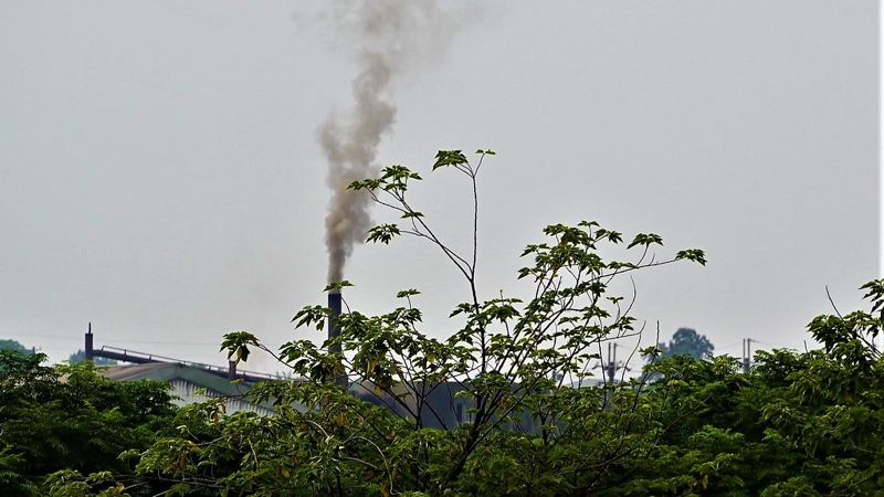 用電間接排放也計入 環保署預告修正 強制碳盤查對象再擴大