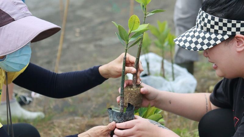 讓四大馬拉松為永續而跑 富邦「Run For Green」跑者每一步都算「樹」