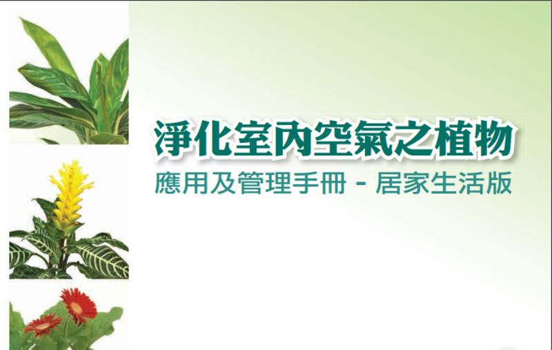淨化室內空氣污染 植物妙用多