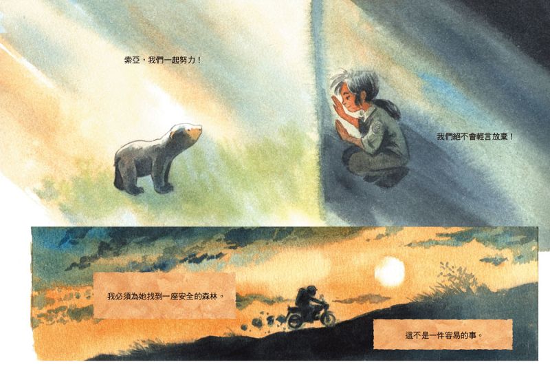 不被遺忘的記憶角落：讀《守護馬來熊的女孩》