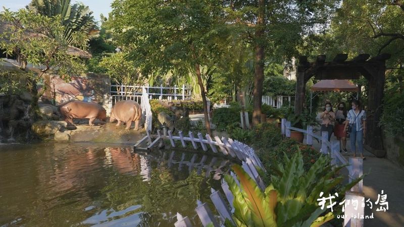 牠的痛 你不知道 我們從圈養動物身上得到什麼？