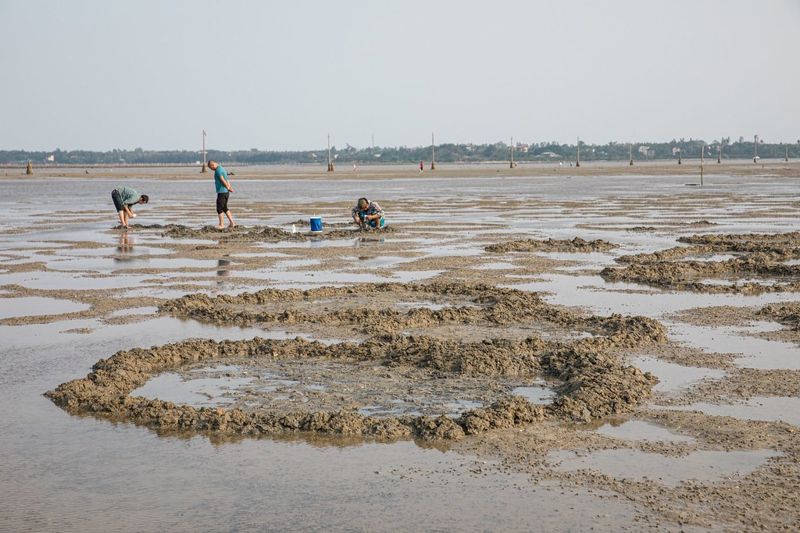 中國「趕海」短影音催生潮間帶生態危機