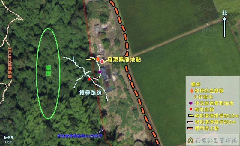 花蓮卓溪鄉台灣黑熊死因出爐 墜落重傷再遭動物攻擊致死