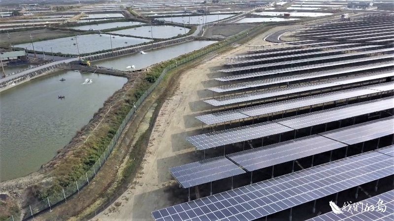 鹽地生機 布袋的光電開發課題 民間團體盼野鳥棲地不再被犧牲