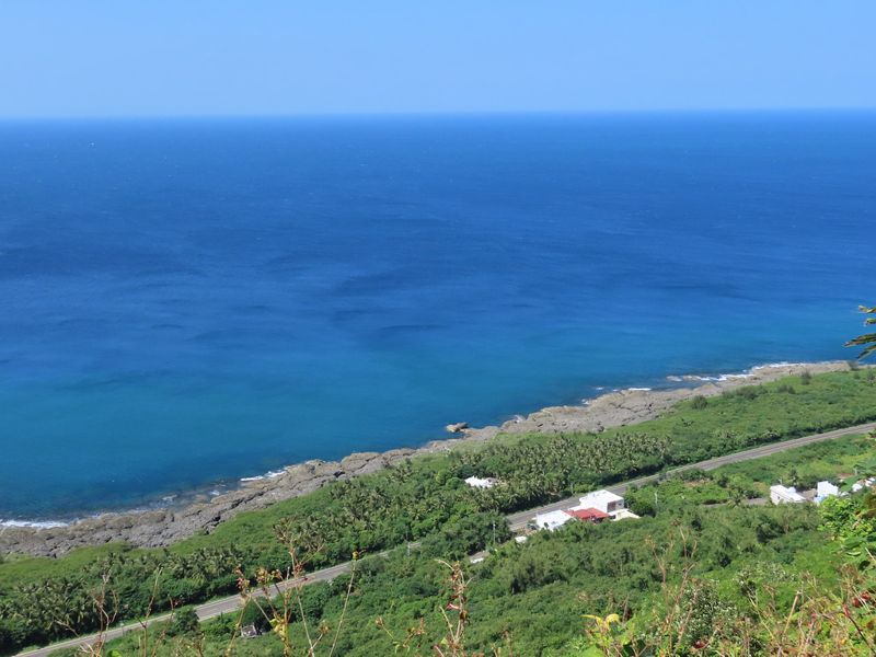 沒有了銀合歡還有亂倒的廢棄物 一探台灣海岸林亂象：垃圾、火災、無主墓