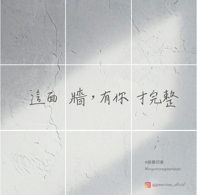台灣每年環境捐款不到1% 綠藤生機發起歲末活動 上IG貼文就捐給環境資訊協會