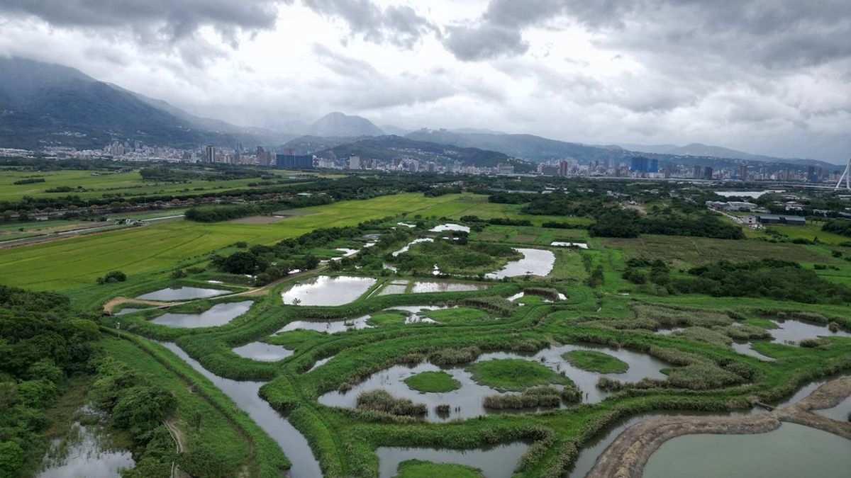 《台灣濕地誌》台北都市開拓史與濕地發展脈絡