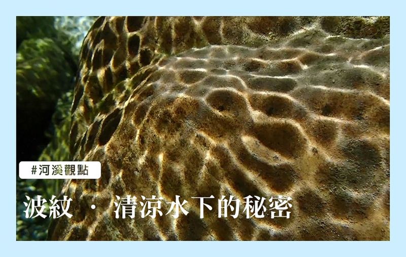 水波的律動 清涼水下的秘密