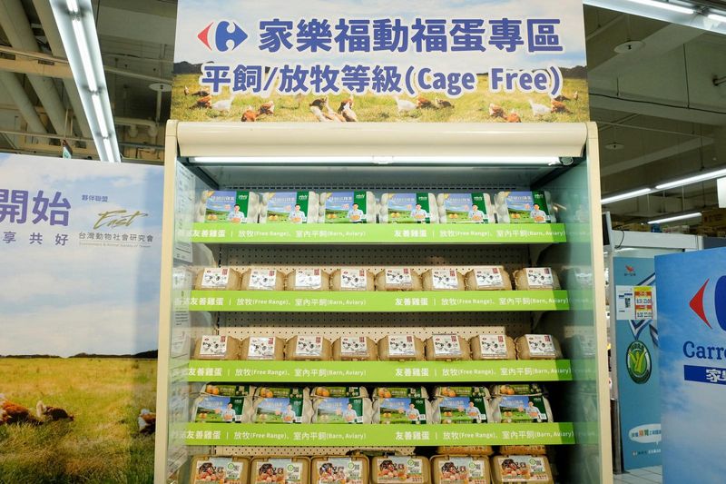響應動物福利！ 家樂福首創設置非籠飼雞蛋專賣區，以通路消費支持蛋農轉型