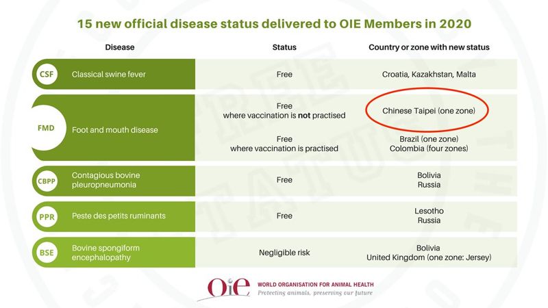 OIE通知 台灣豬受肯定 正式成為口蹄疫非疫區