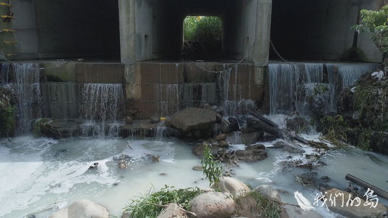 給我一杯乾淨水 石門水庫的整治難題